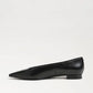 Emory Pointed Toe Ballet Flat