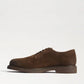 Ted Wingtip Oxford