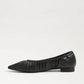 Essex Pointed Toe Ballet Flat
